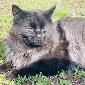 Meet your Posher, Wendy